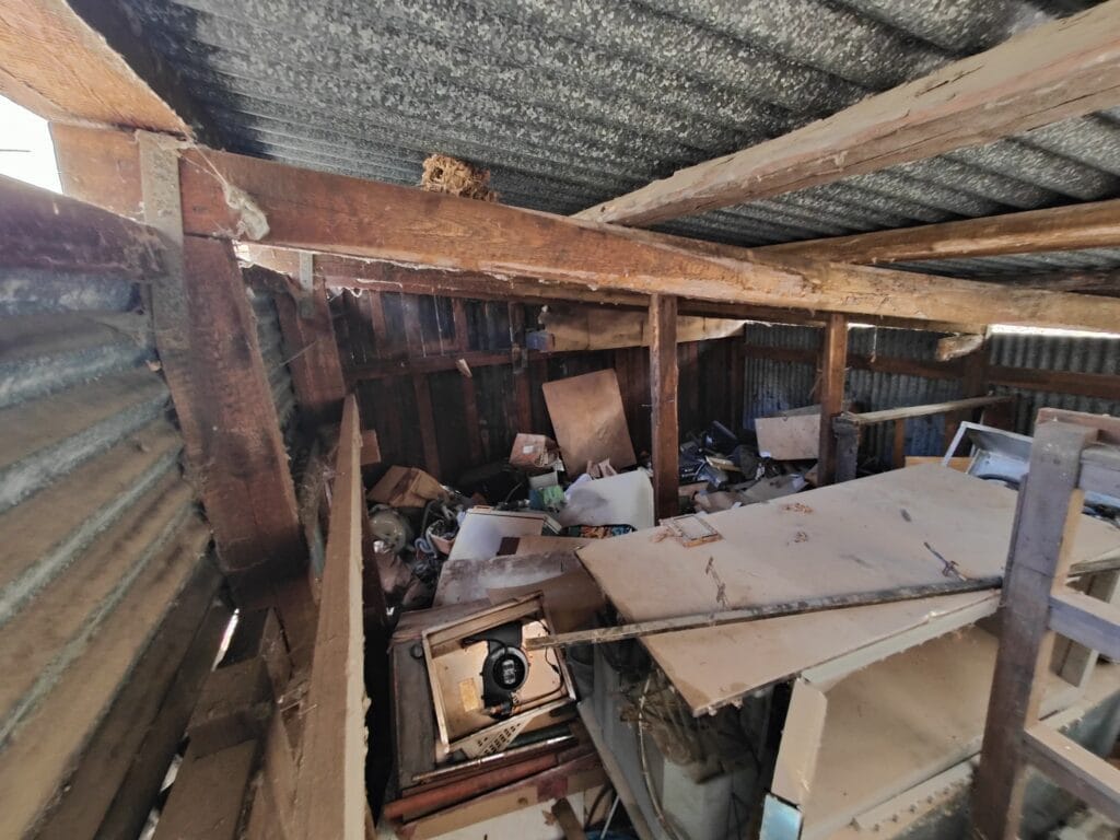 IMG20240402142949