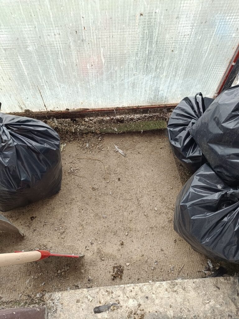 Holuby a holubí trus