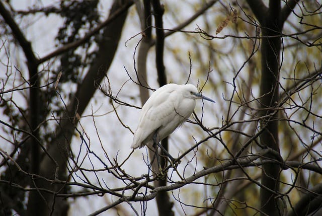 Ekologický dopad vyklízení