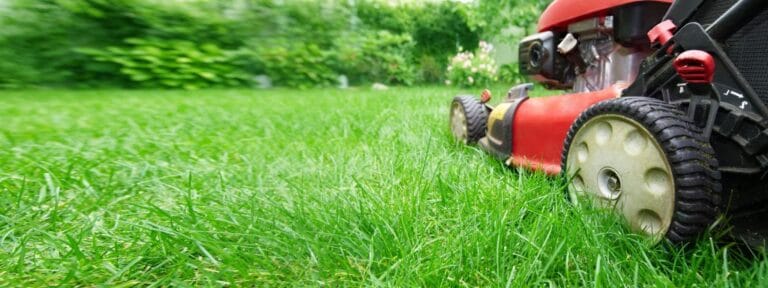 lawn1 1024x384 1