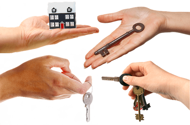 Pronájem nemovitosti