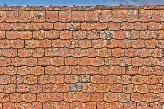 Inspekce střechy a okapů